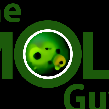 The Mold Guys