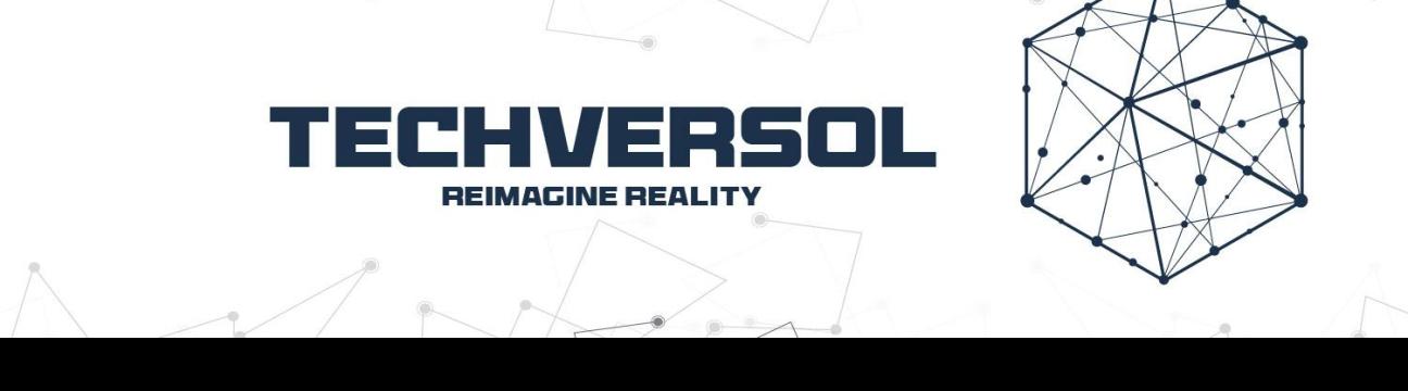 Techversol Inc