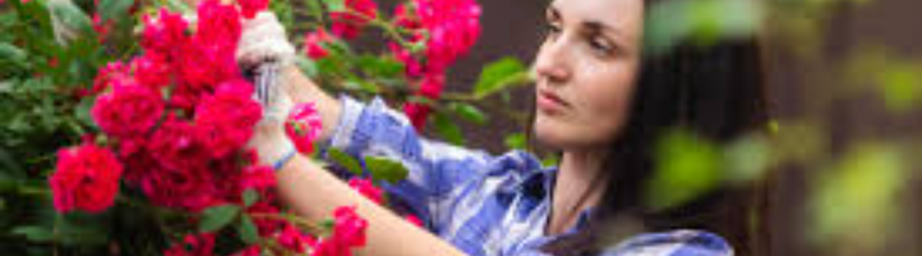 Ahh Flowers