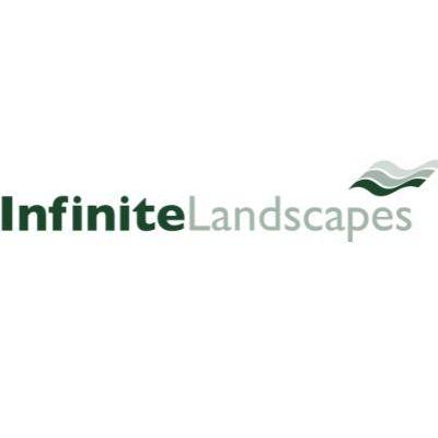 Infinite Landscapes