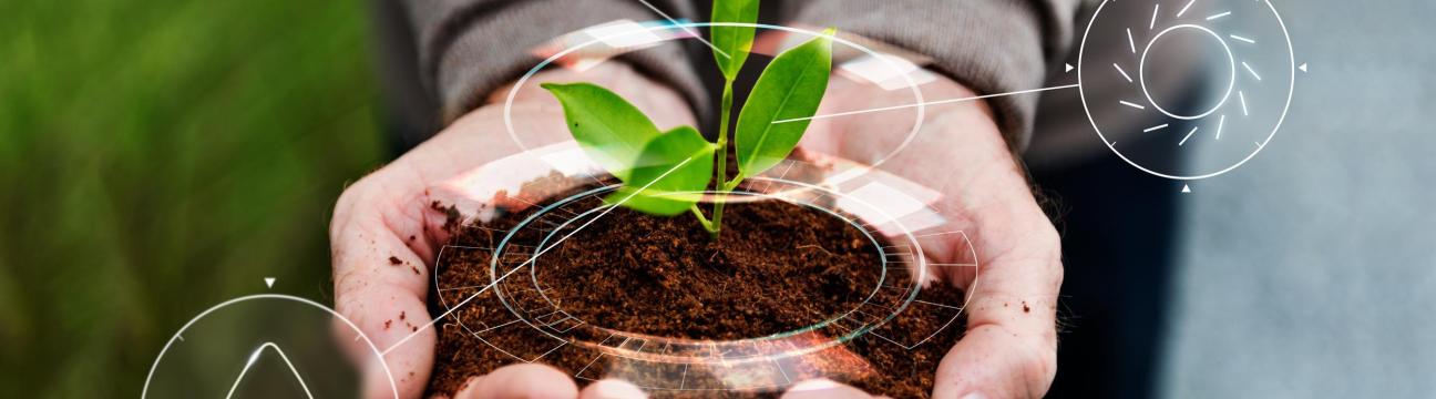 UTerra  Middle East Agro Industries
