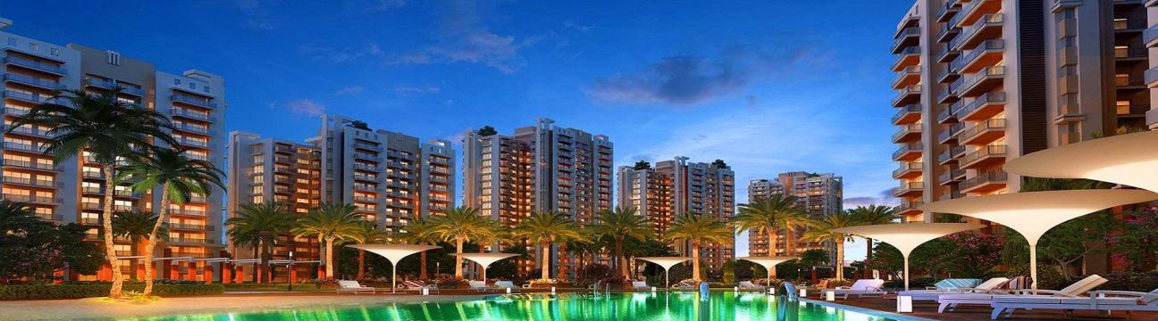 Sapient Realty